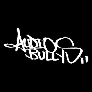 Audio Bullys
